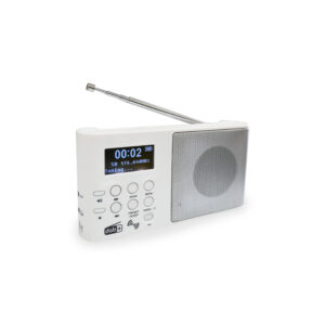 DAB Radio D101
