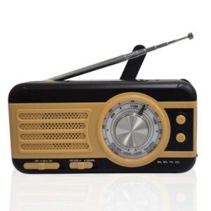 Solar Portable Radio WS-01